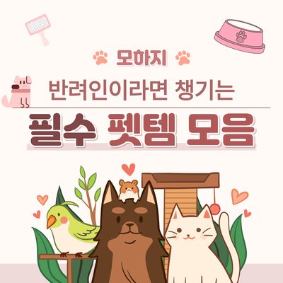 반려인이라면 챙기는 필수 펫템 모음