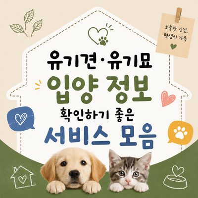 유기견·유기묘 입양 정보 확인하기 좋은 서비스 모음