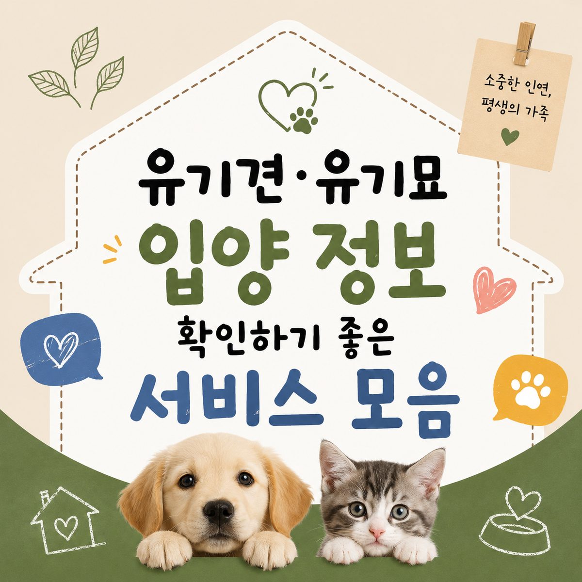 유기견·유기묘 입양 정보 확인하기 좋은 서비스 모음