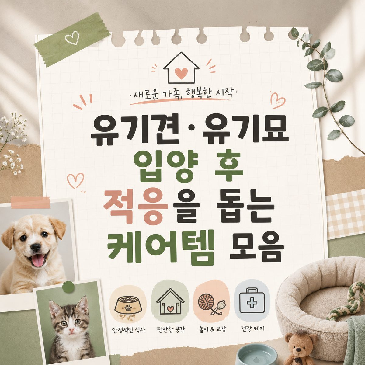 유기견·유기묘 입양 후 적응을 돕는 케어템 모음