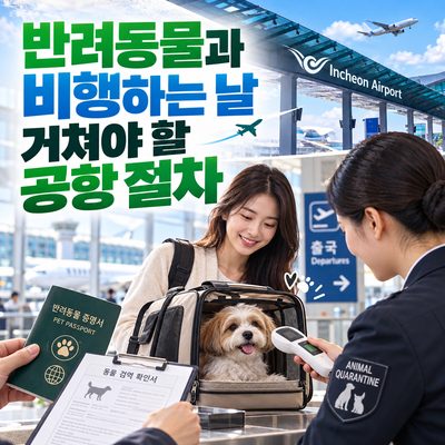 반려동물과 비행하는 날 거쳐야 할 공항 절차