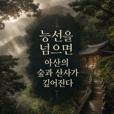 능선을 넘으면 아산의 숲과 산사가 깊어진다