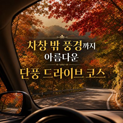 차창 밖 풍경까지 아름다운 단풍 드라이브 코스