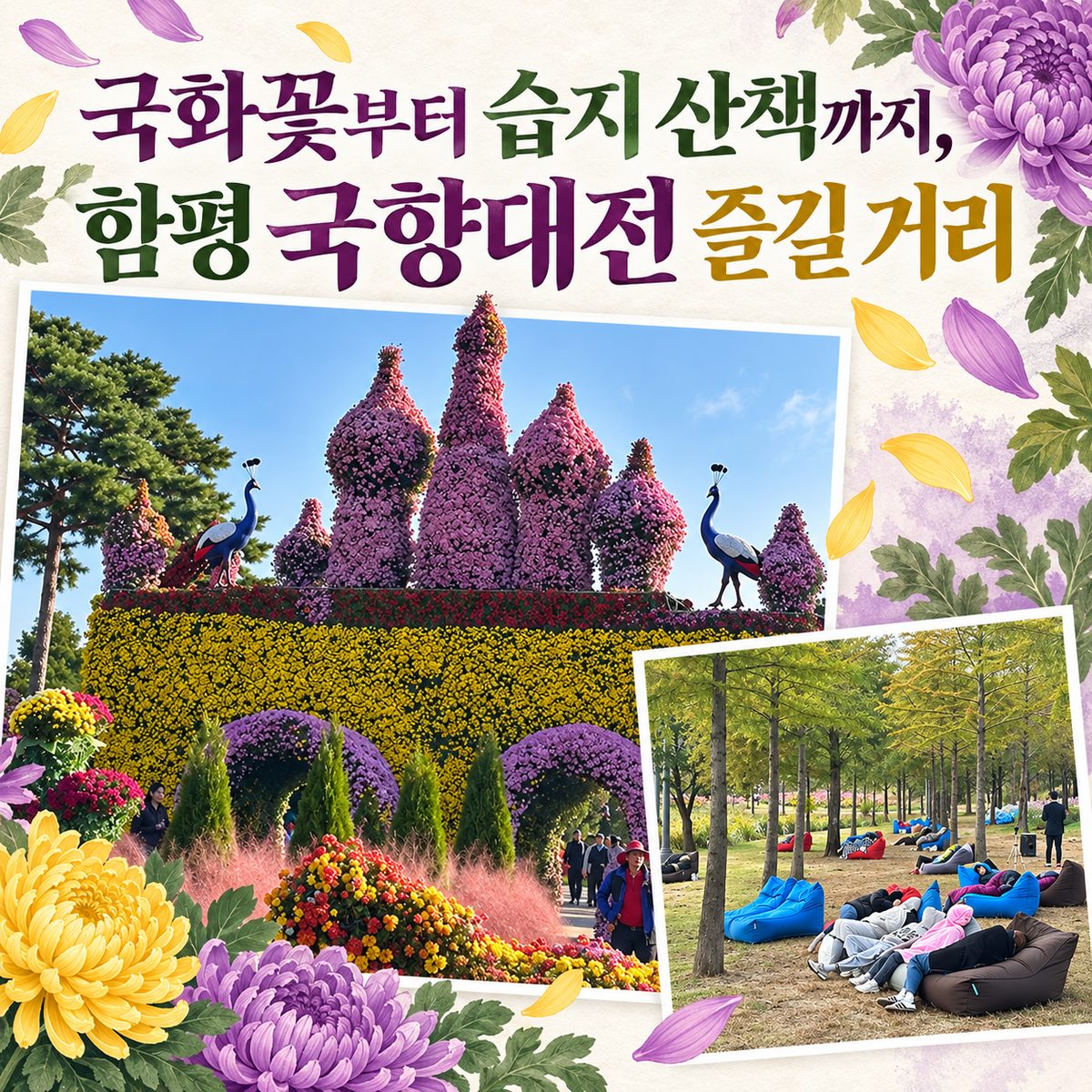 From Chrysanthemums to a Wetland Stroll: What to Enjoy at the Hampyeong Chrysanthemum Festival