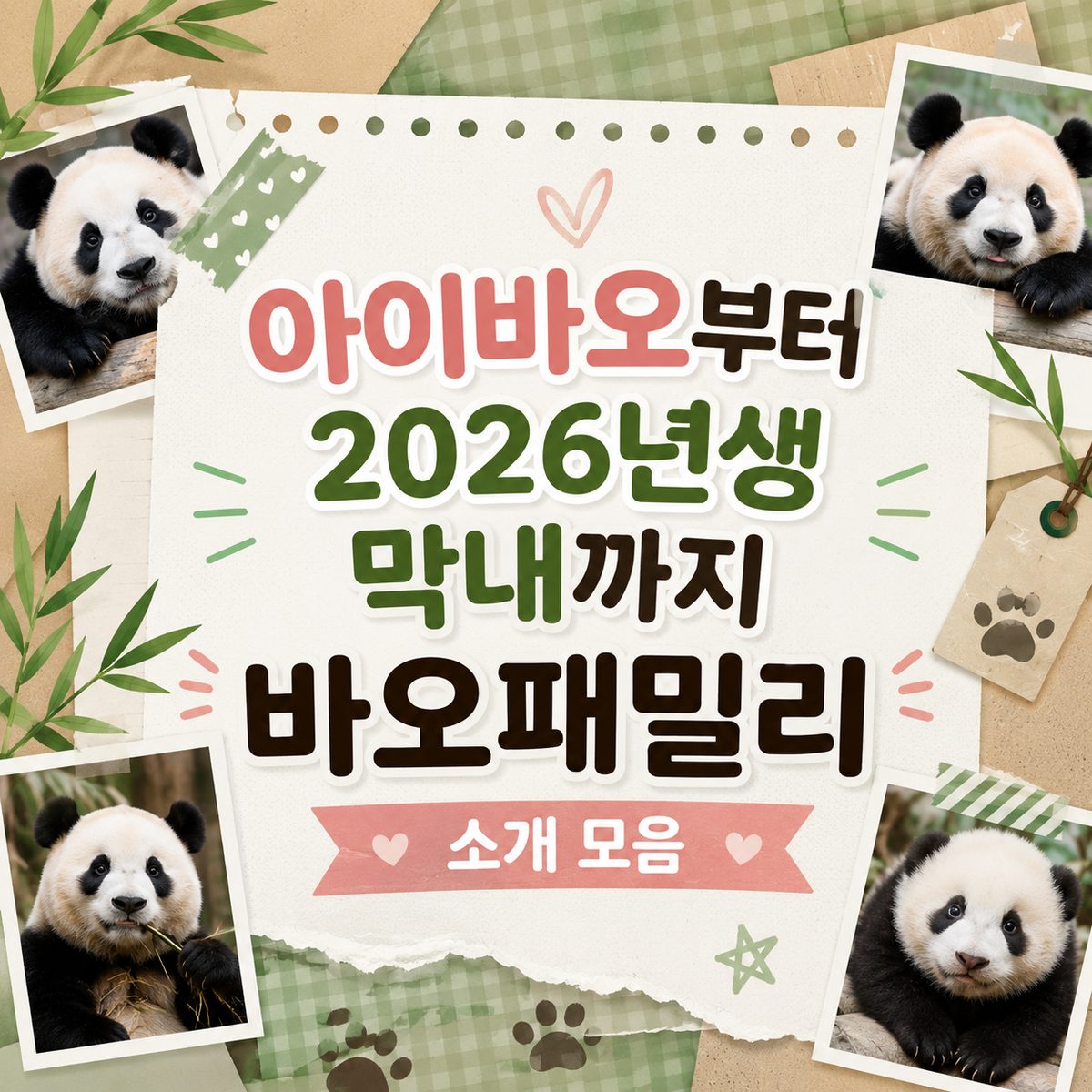 아이바오부터 2026년생 막내까지 바오패밀리 소개 모음