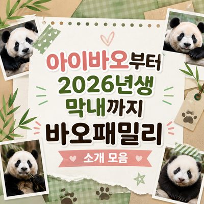 아이바오부터 2026년생 막내까지 바오패밀리 소개 모음
