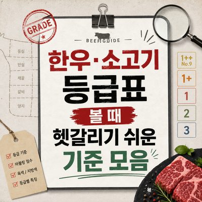 한우·소고기 등급표 볼 때 헷갈리기 쉬운 기준 모음