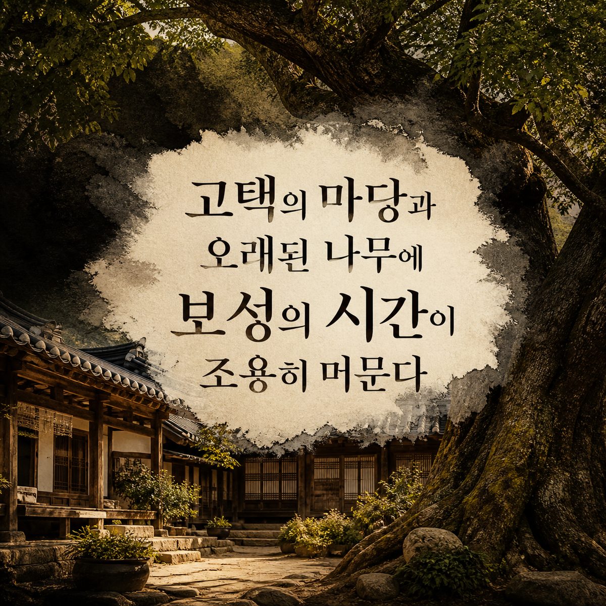 고택의 마당과 오래된 나무에 보성의 시간이 조용히 머문다