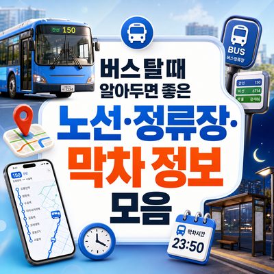 버스 탈 때 알아두면 좋은 노선·정류장·막차 정보 모음