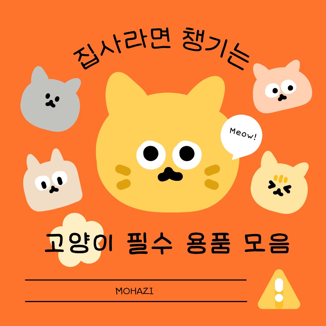 집사라면 챙기는 고양이 필수 용품 모음