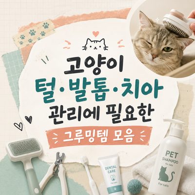 고양이 털·발톱·치아 관리에 필요한 그루밍템 모음