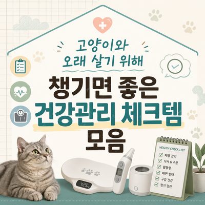 고양이와 오래 살기 위해 챙기면 좋은 건강관리 체크템 모음