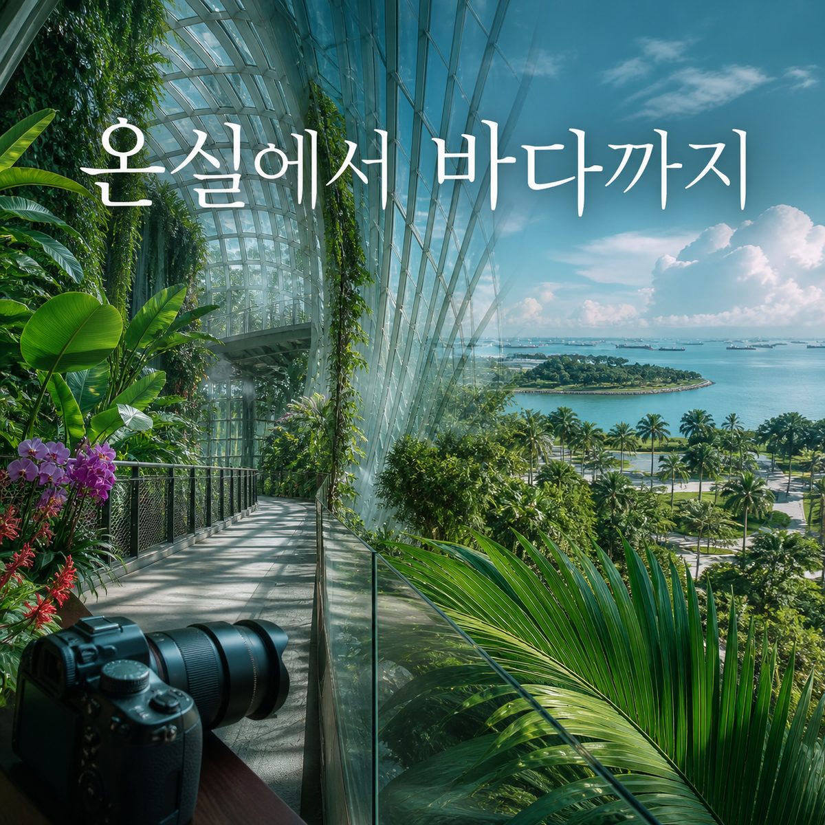온실에서 바다까지, 창이의 초록을 사진으로 남기는 곳