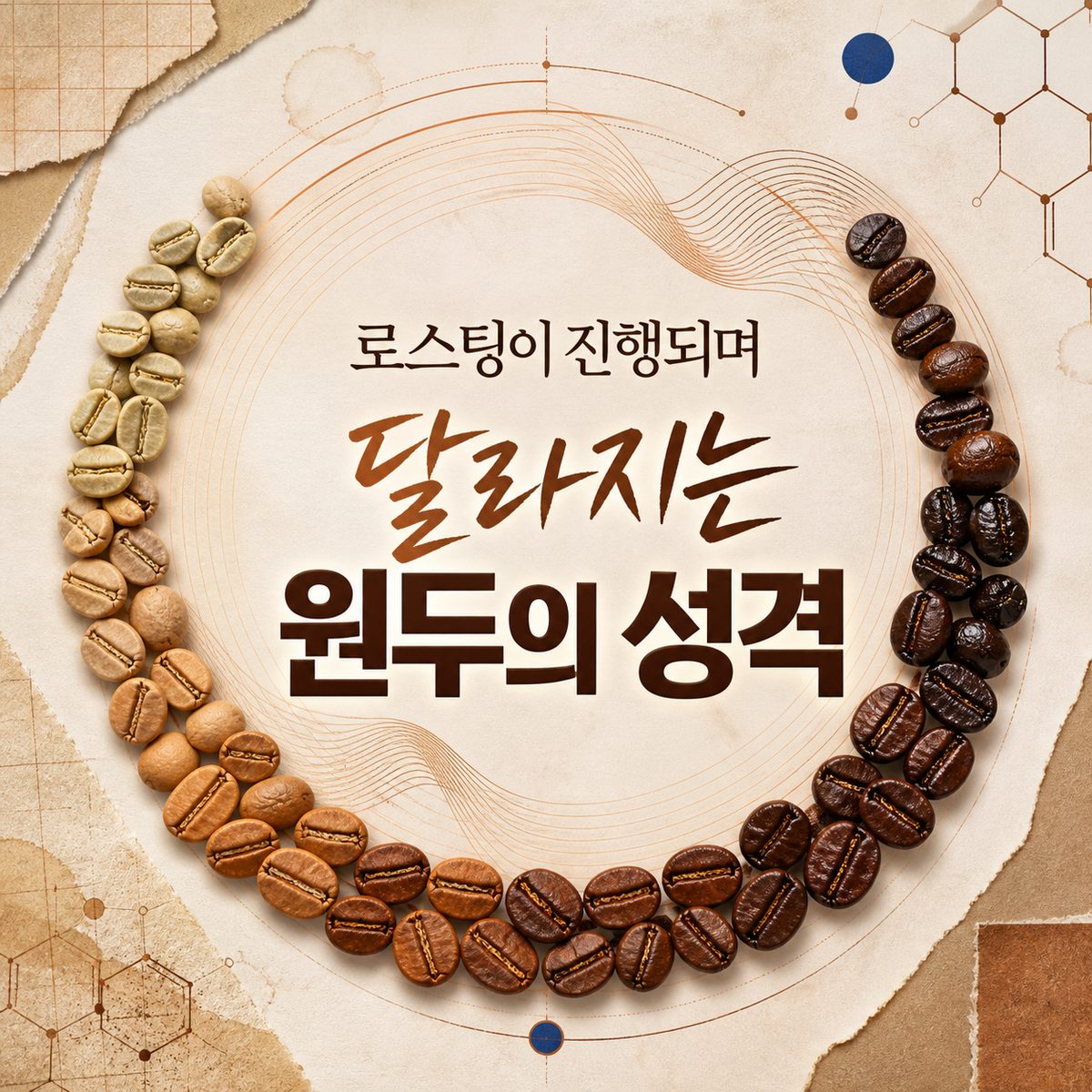 로스팅이 진행되며 달라지는 원두의 성격