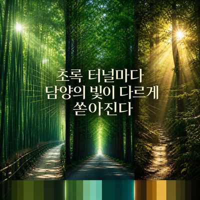 초록 터널마다 담양의 빛이 다르게 쏟아진다