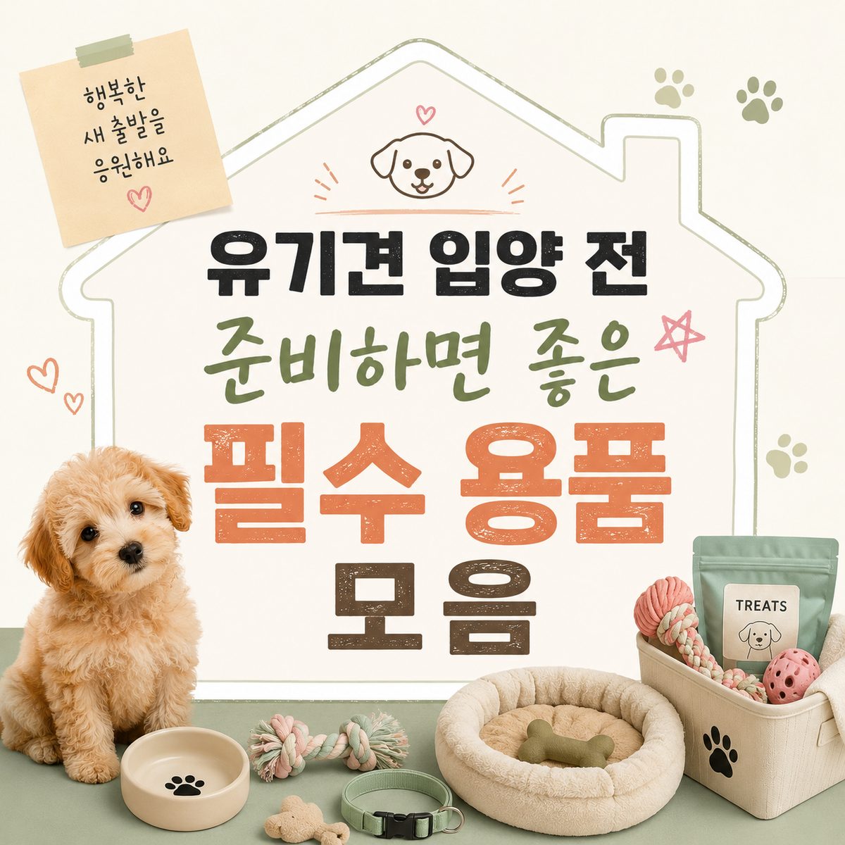 유기견 입양 전 준비하면 좋은 필수 용품 모음