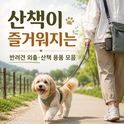 산책이 즐거워지는 반려견 외출·산책 용품 모음