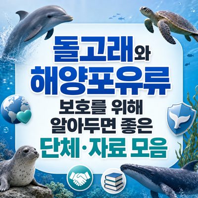 돌고래와 해양포유류 보호를 위해 알아두면 좋은 단체·자료 모음
