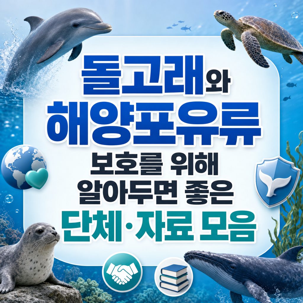 돌고래와 해양포유류 보호를 위해 알아두면 좋은 단체·자료 모음