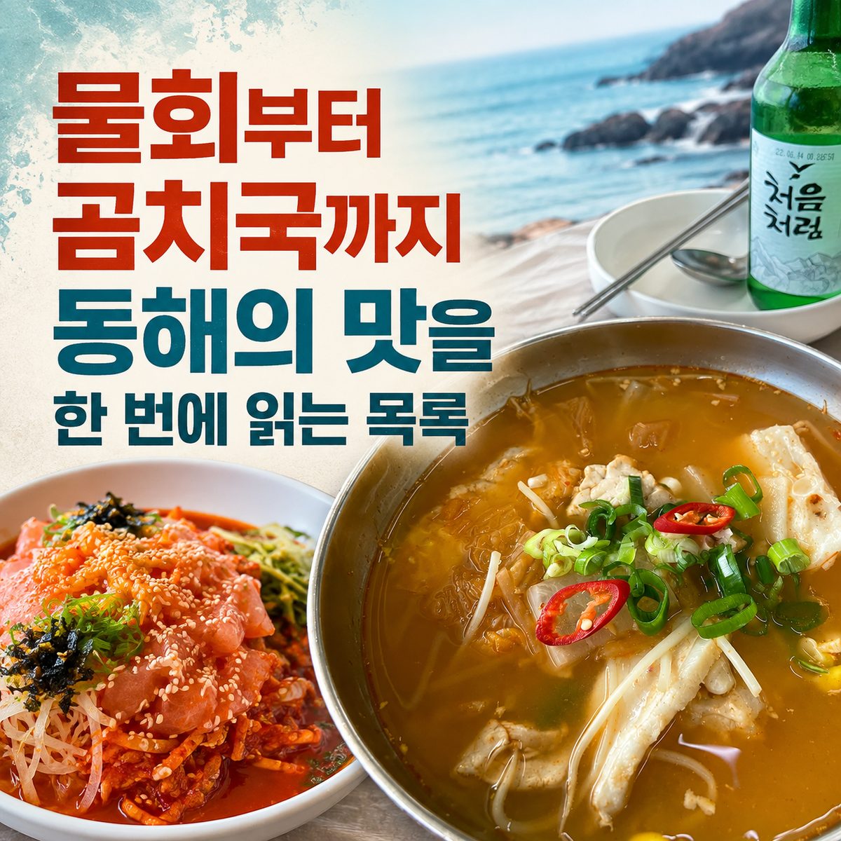 물회부터 곰치국까지 동해의 맛을 한 번에 읽는 목록
