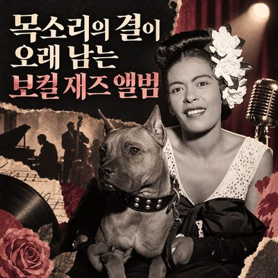 목소리의 결이 오래 남는 보컬 재즈 앨범