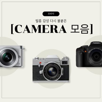필름 감성 다시 불붙은 카메라 모음