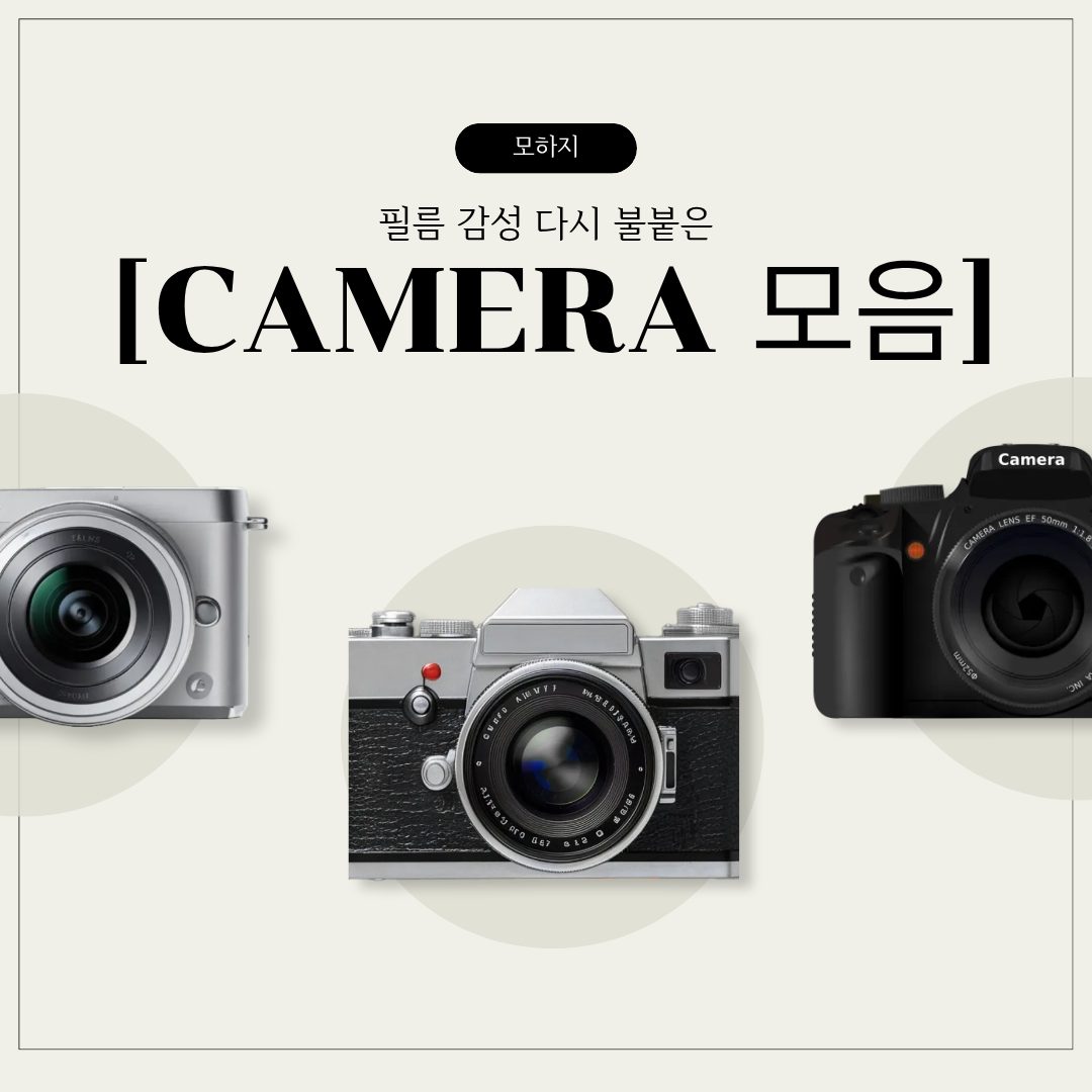 필름 감성 다시 불붙은 카메라 모음