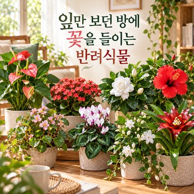 잎만 보던 방에 꽃을 들이는 반려식물