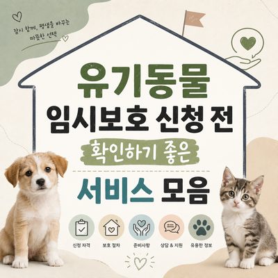 유기동물 임시보호 신청 전 확인하기 좋은 서비스 모음