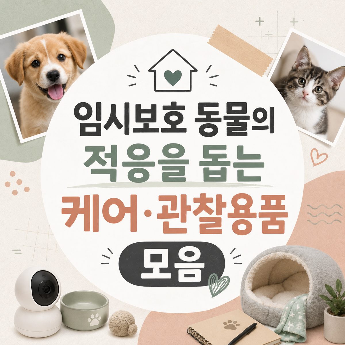 임시보호 동물의 적응을 돕는 케어·관찰용품 모음