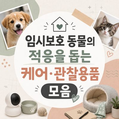 임시보호 동물의 적응을 돕는 케어·관찰용품 모음