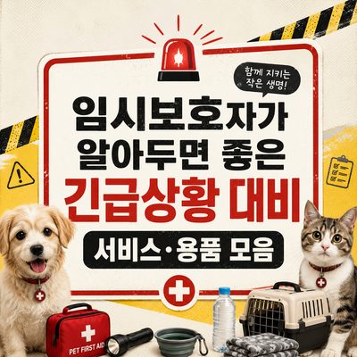임시보호자가 알아두면 좋은 긴급상황 대비 서비스·용품 모음