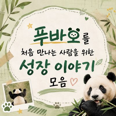 푸바오를 처음 만나는 사람을 위한 성장 이야기 모음