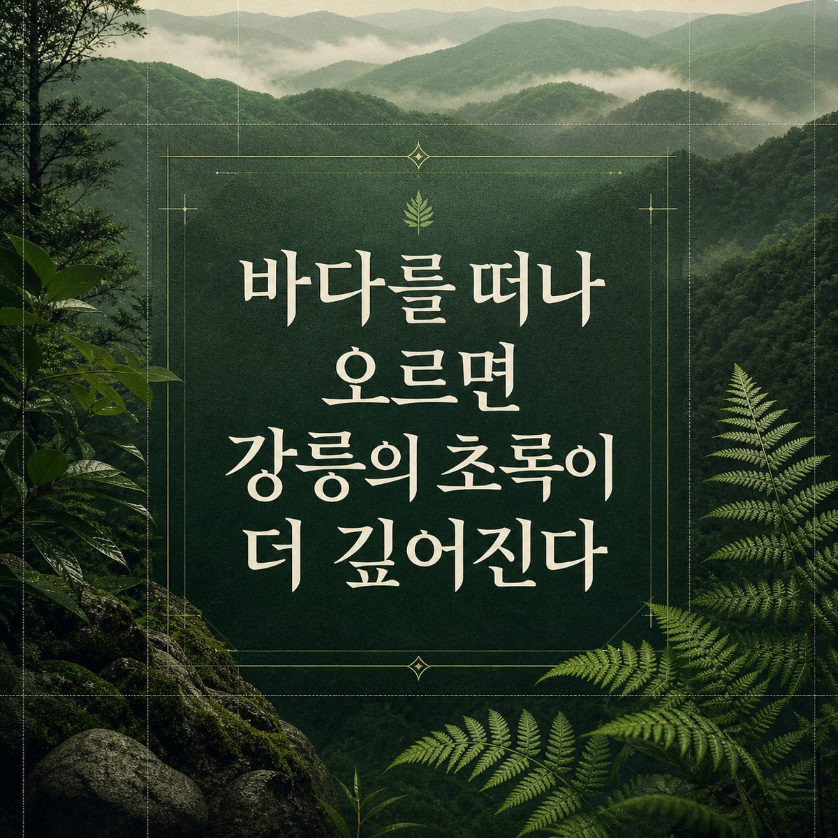 바다를 떠나 오르면 강릉의 초록이 더 깊어진다
