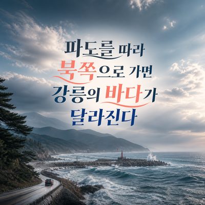 파도를 따라 북쪽으로 가면 강릉의 바다가 달라진다