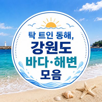 탁 트인 동해, 강원도 바다·해변 모음