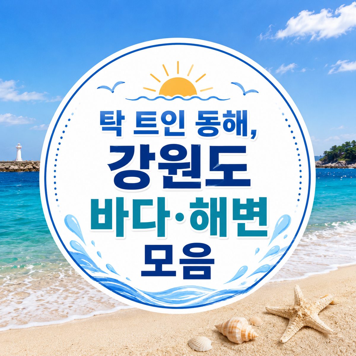탁 트인 동해, 강원도 바다·해변 모음