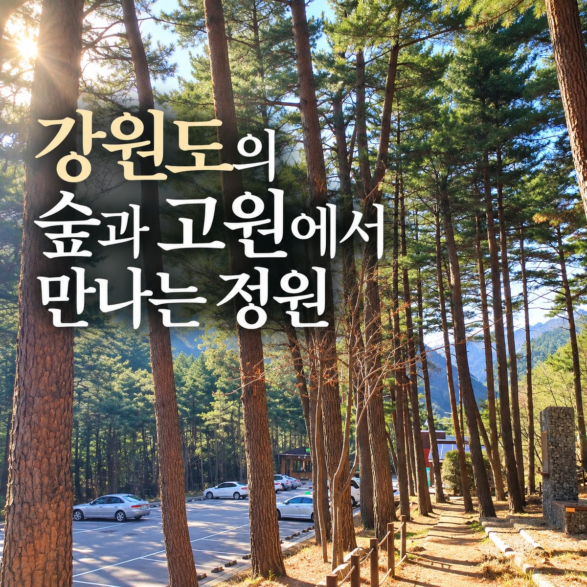 강원도의 숲과 고원에서 만나는 정원