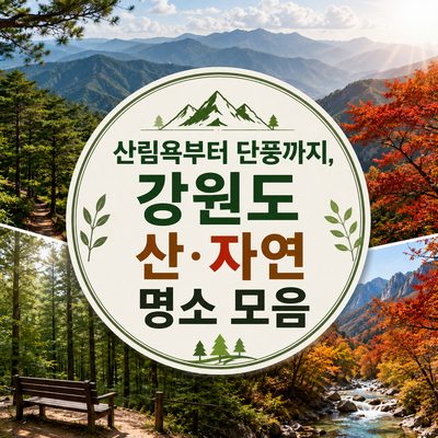 산림욕부터 단풍까지, 강원도 산·자연 명소 모음