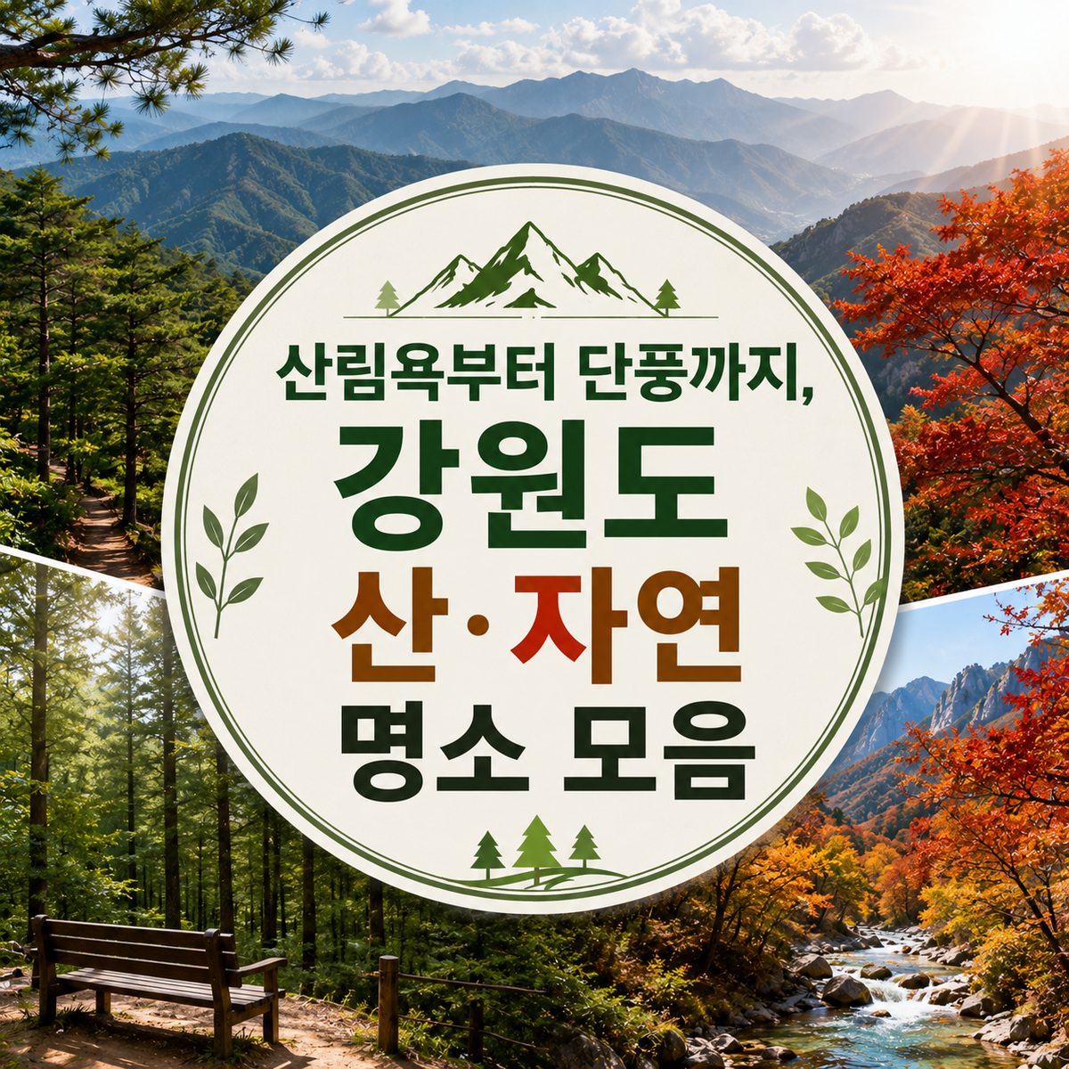 산림욕부터 단풍까지, 강원도 산·자연 명소 모음