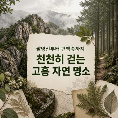 팔영山からヒノキの森まで、ゆっくり歩く高興の自然名所