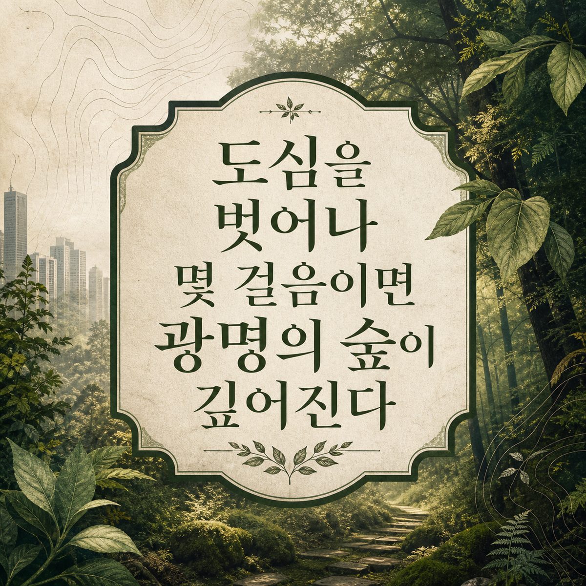 도심을 벗어나 몇 걸음이면 광명의 숲이 깊어진다