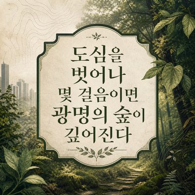 도심을 벗어나 몇 걸음이면 광명의 숲이 깊어진다
