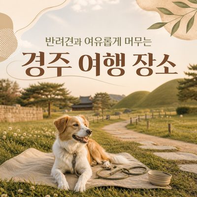 반려견과 여유롭게 머무는 경주 여행 장소