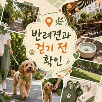 반려견과 홀랜드 빌리지를 걷기 전 확인할 장소들