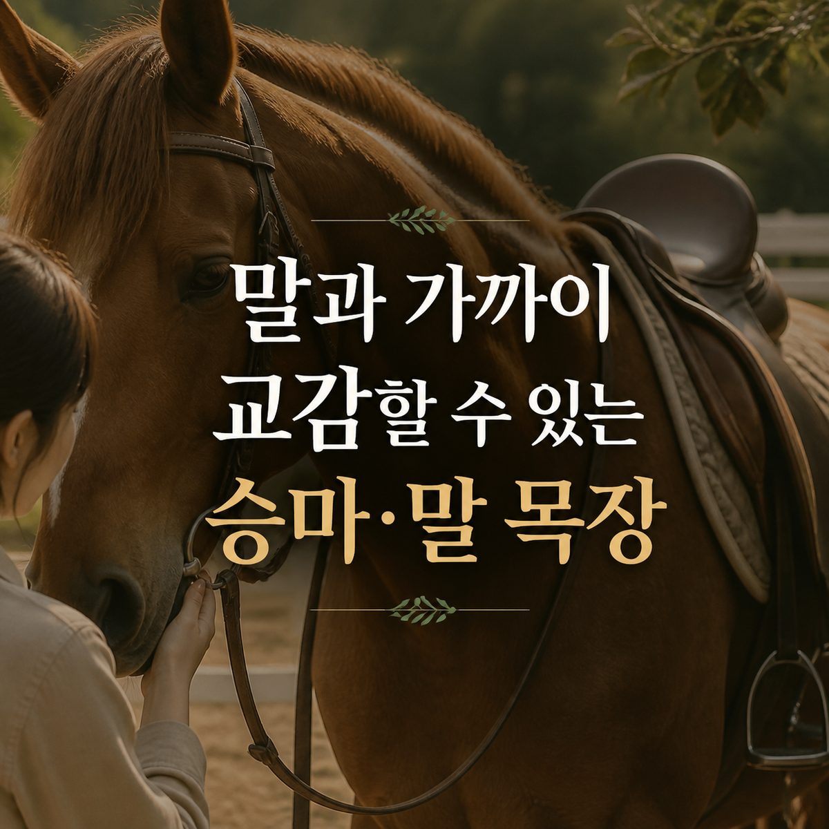 말과 가까이 교감할 수 있는 승마·말 목장