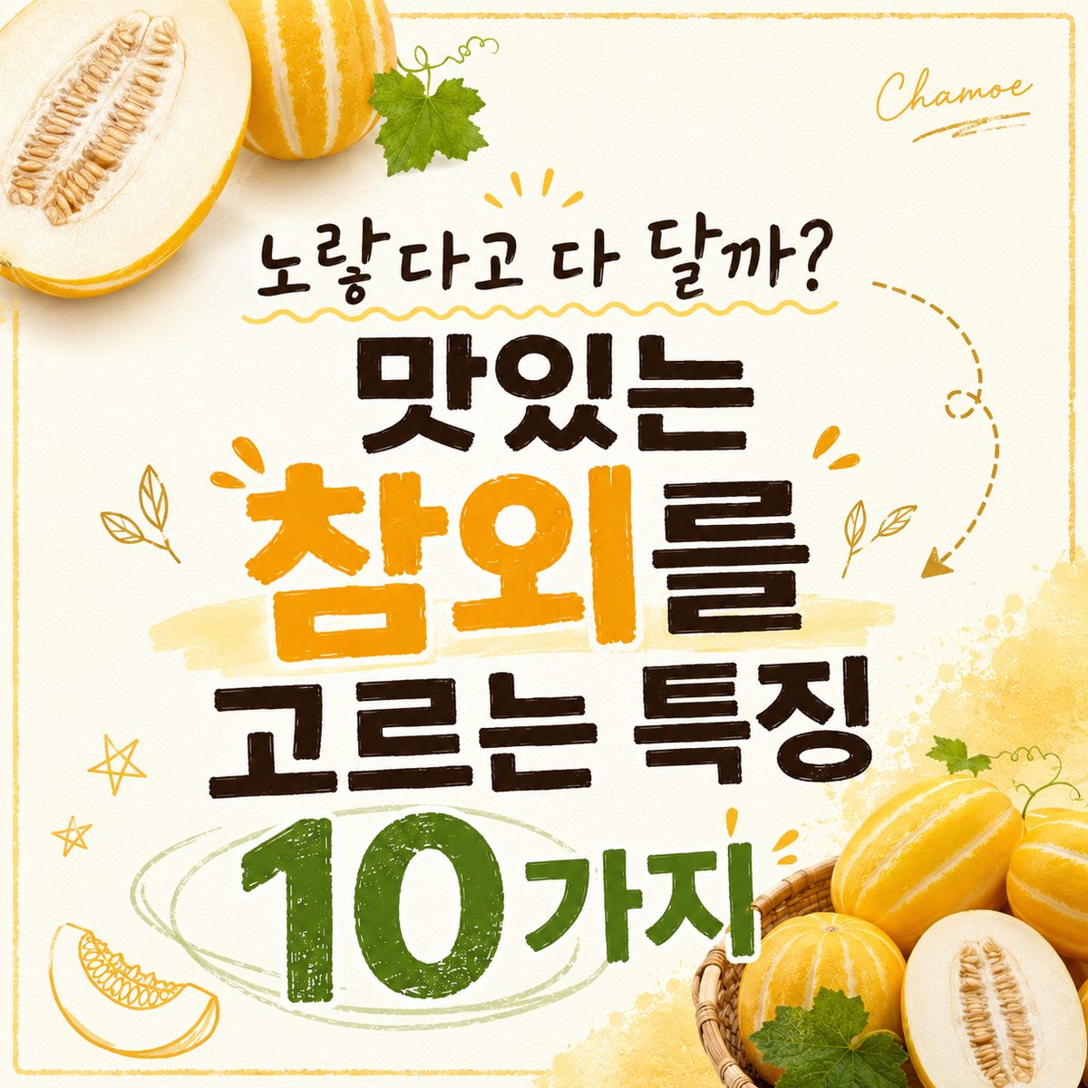 노랗다고 다 달까? 맛있는 참외를 고르는 특징 10가지