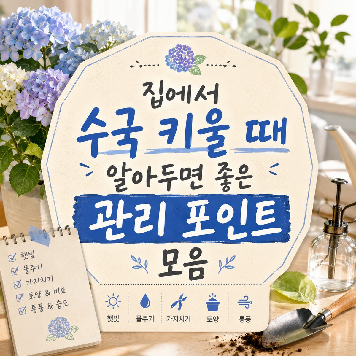 집에서 수국 키울 때 알아두면 좋은 관리 포인트 모음