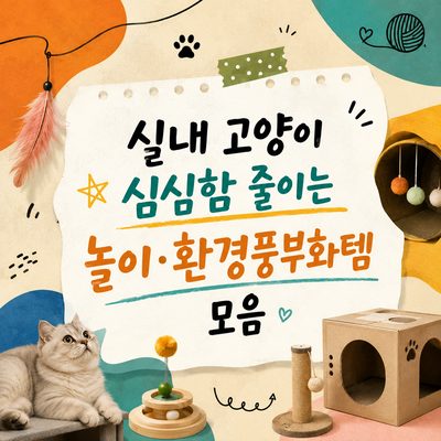 실내 고양이 심심함 줄이는 놀이·환경풍부화템 모음