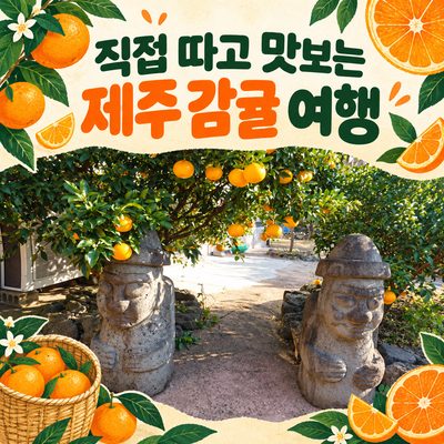 A Jeju Tangerine Trip: Pick and Taste Them Yourself